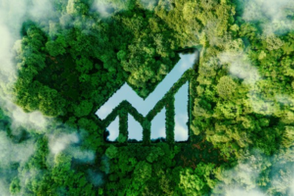谢锋：贸易逆差不等于吃亏，我想买的你不卖怎么解决逆差？